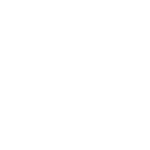 snowflake book