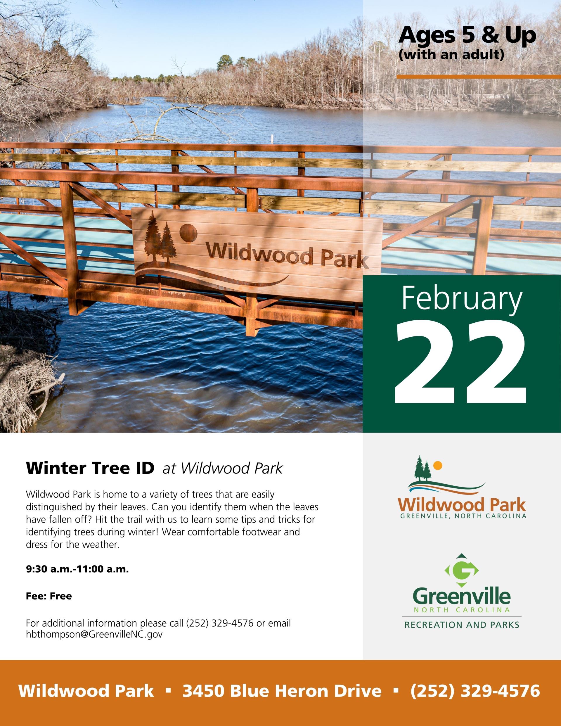 2025 Winter Tree ID flyer