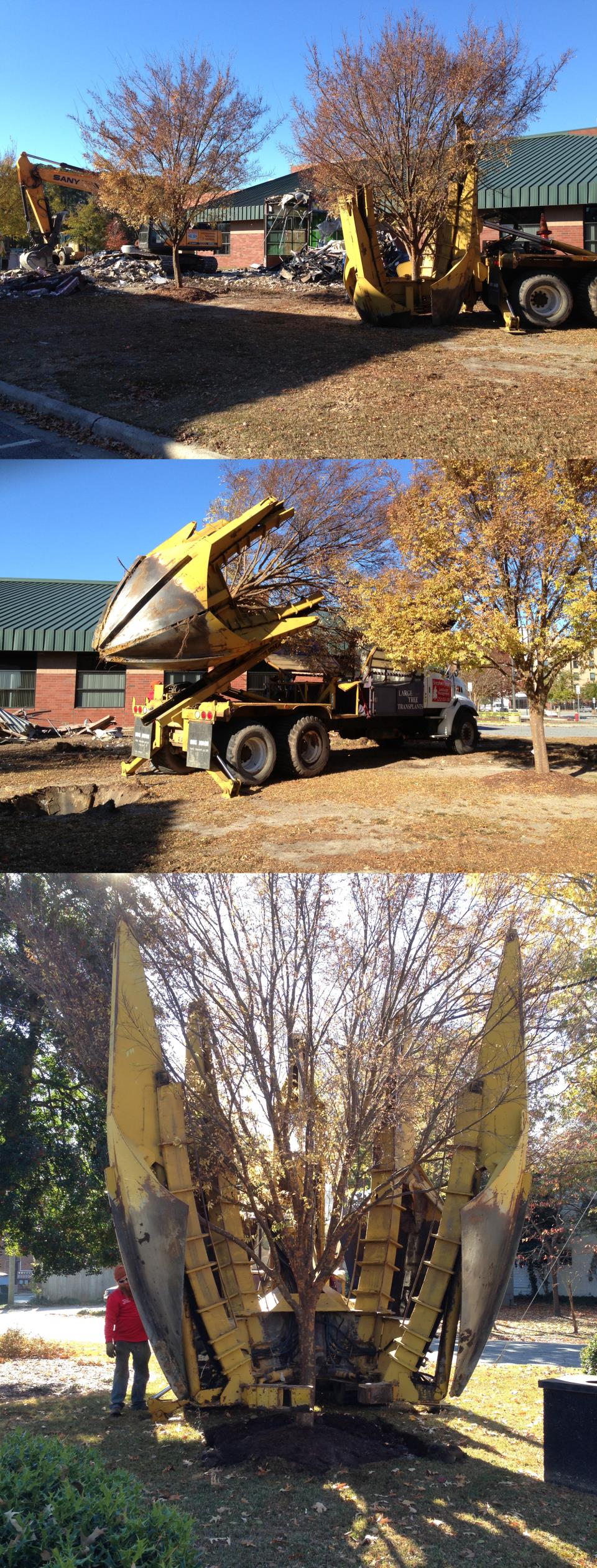 Tree Relocation