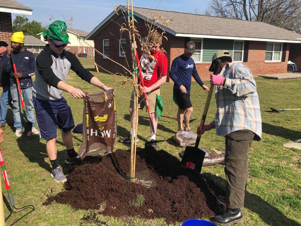 Community Tree Day 2019