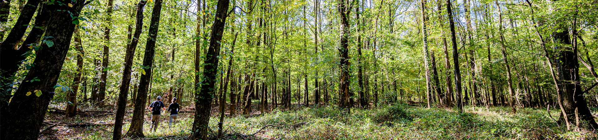 couple in the wooded area